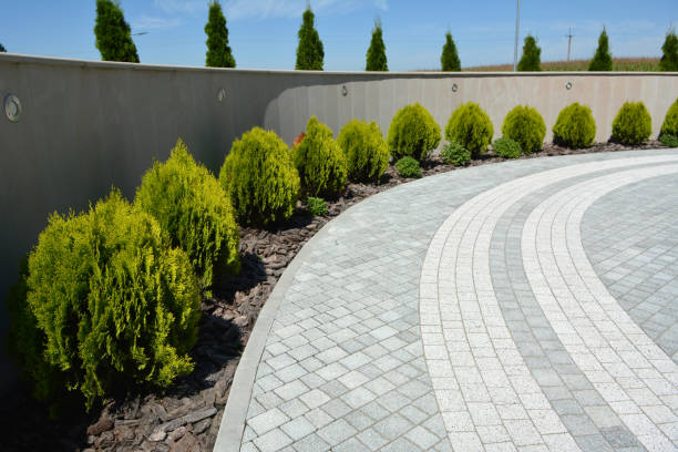 Best Driveway Paver Repair  in Macungie, PA